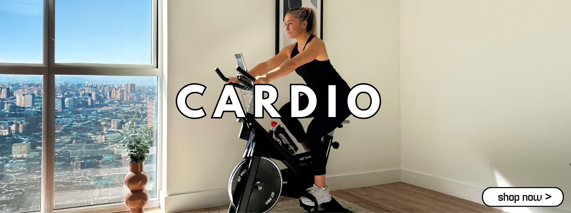 Cardio Equipment Sale at McSport