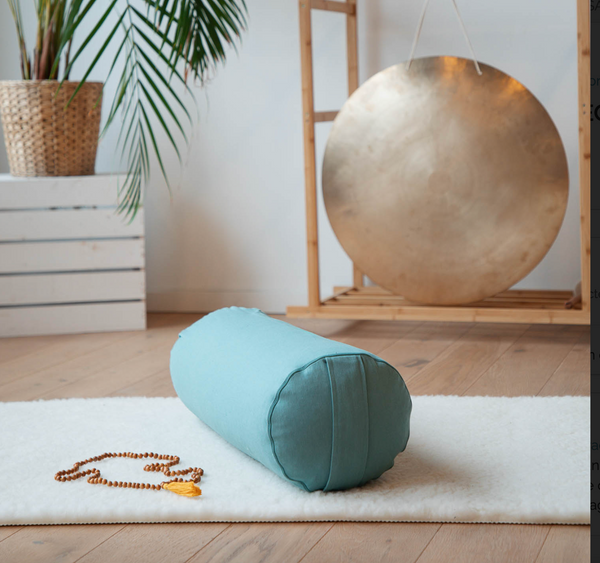 Fitness Mad Buckwheat Bolster Teal
