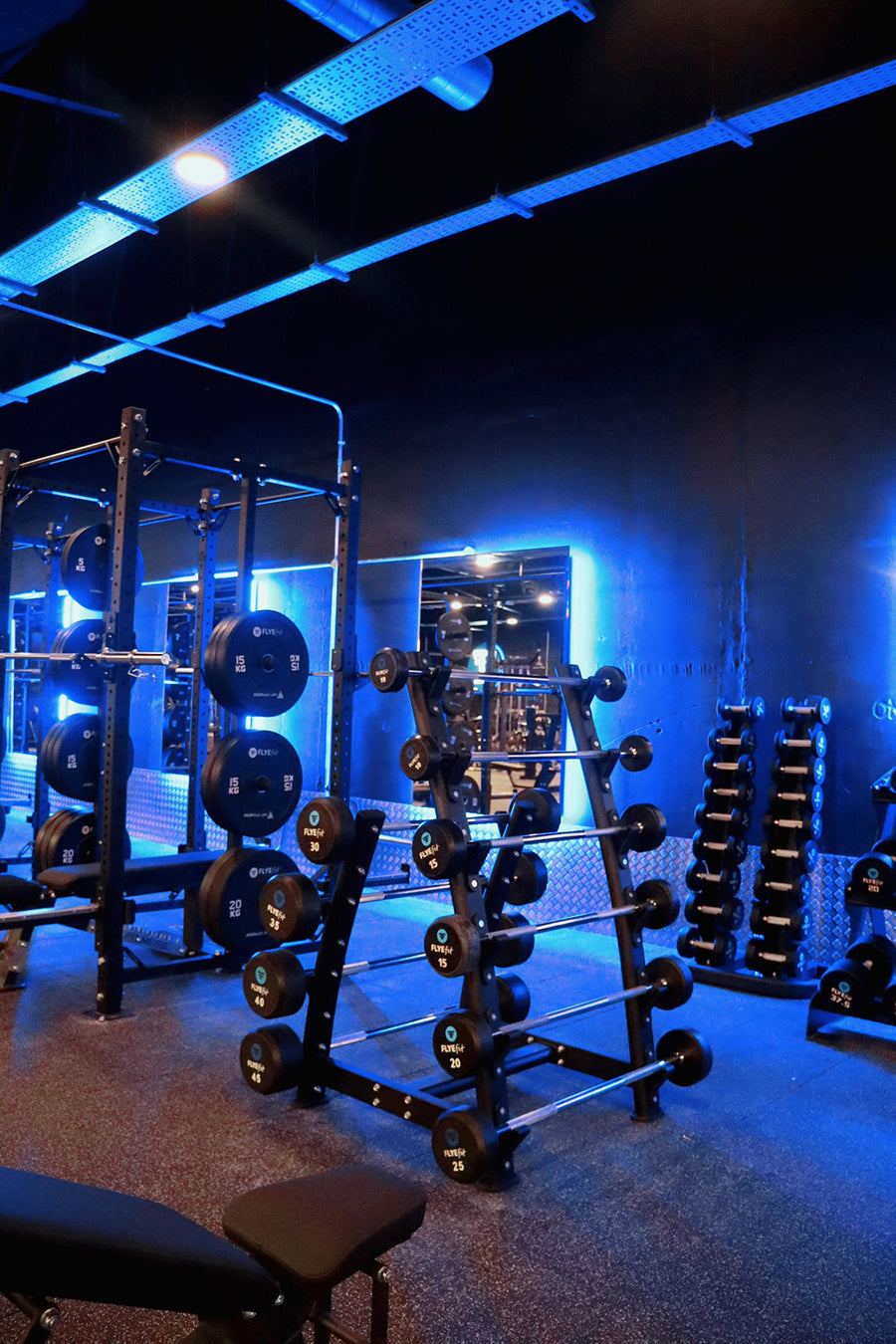 McSport Commercial Gyms - FLYEFit Inchicore