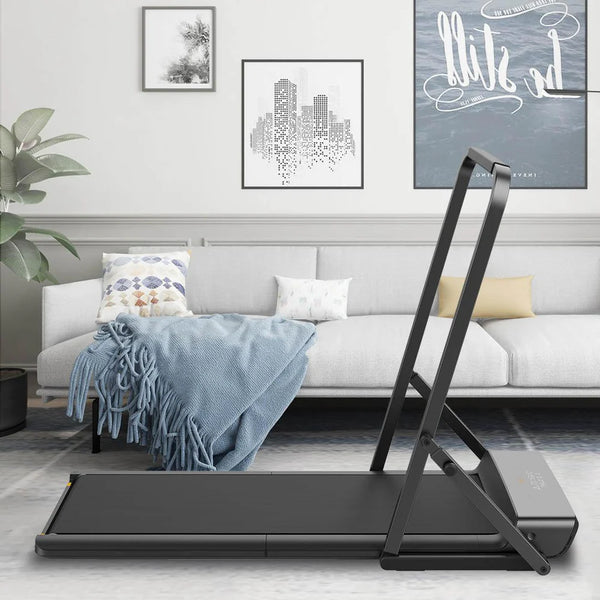 KingSmith Walkingpad Handrail for A1Pro