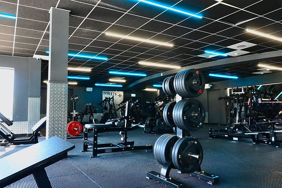 McSport Commercial Gyms - BD Gyms Blanch