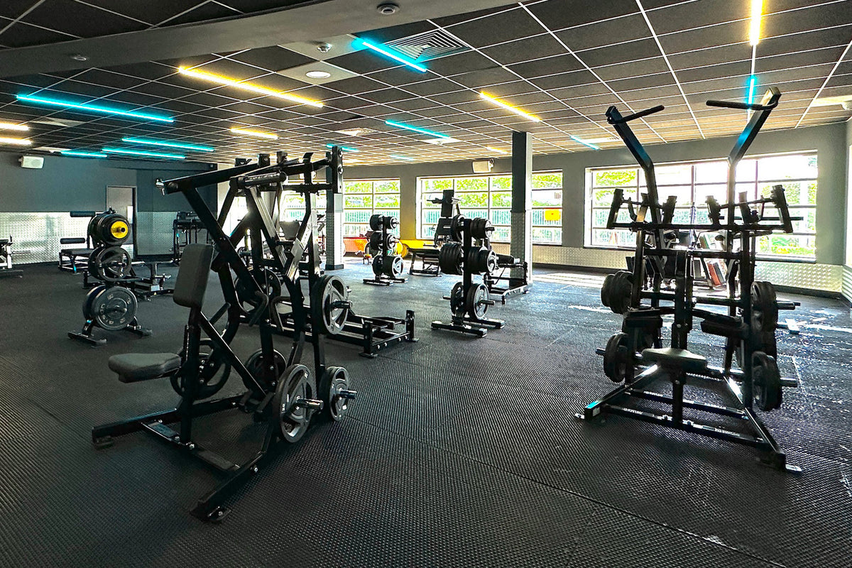 McSport Commercial Gyms - BD Gyms Blanch