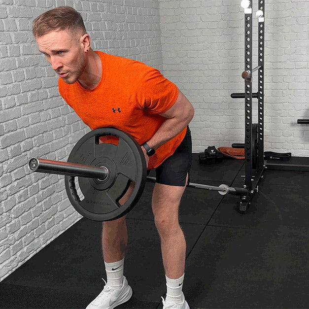 Barbell Titan T3 Landmine Titan T-3 Squat Stand Everything You