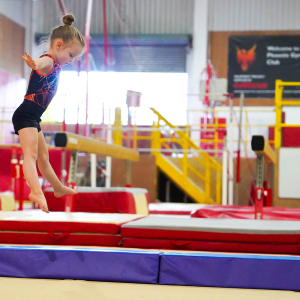 I Love Gymnastics Foldable Balance Beam | Purple & Blue
