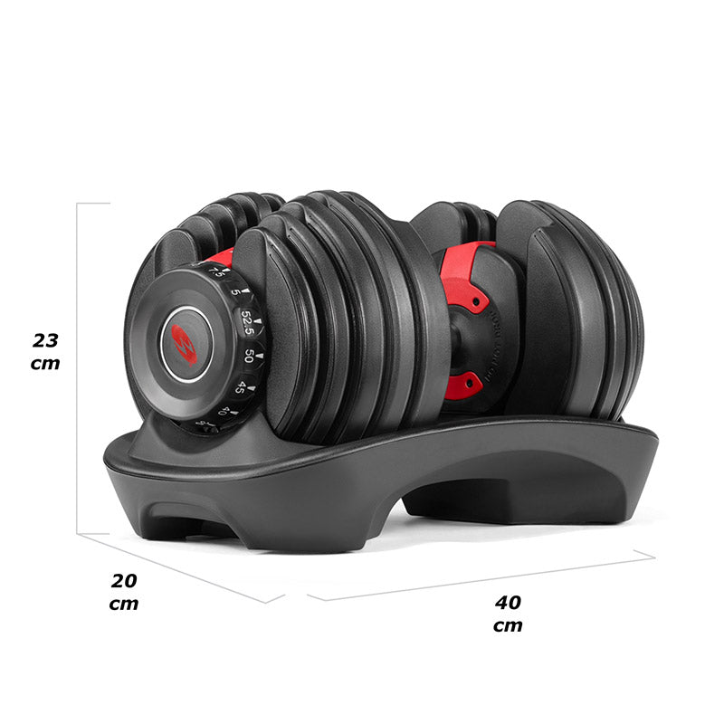 Dumbbells similar to bowflex online