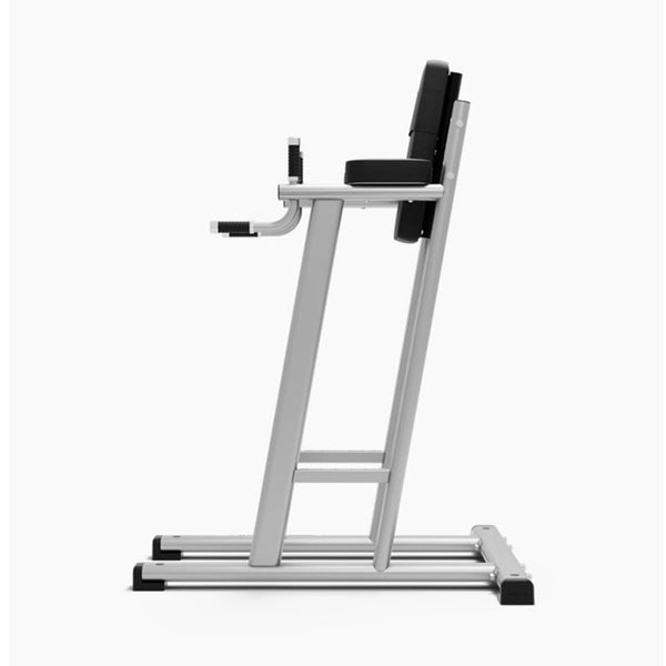 Exigo Leg Raise / Dip Station Side
