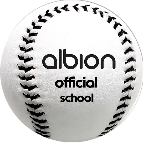 Albion School NRA Rounders Ball Image McSport Ireland