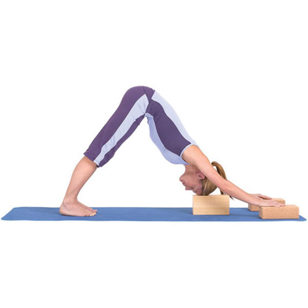 Fitness Mad Cork Yoga Brick Image McSport Ireland